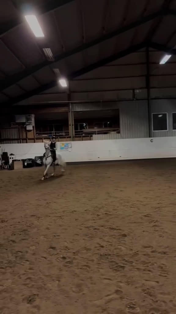 Allround hästar till salu: Fin häst för den som vill ha utmaning - Video 5