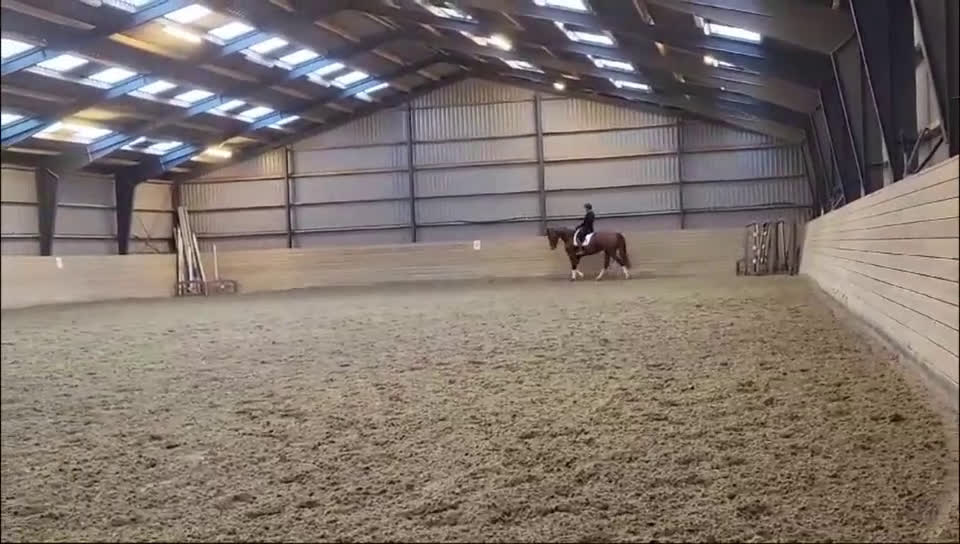 Dressyr hästar till salu: Dressyr Toppstam – rittbar, uttrycksfull, mekanisk i Helsinge kommun - Video 1