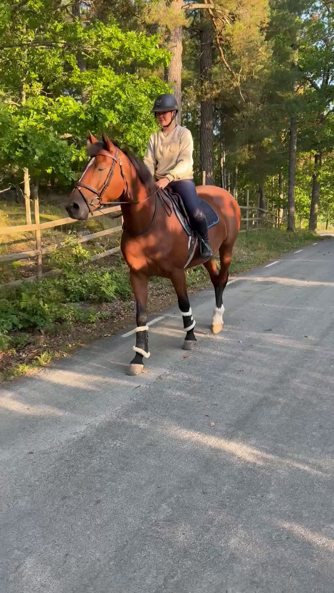 Hoppning hästar till salu: Trevligt sto för hoppning och allround i Flen - Video 4