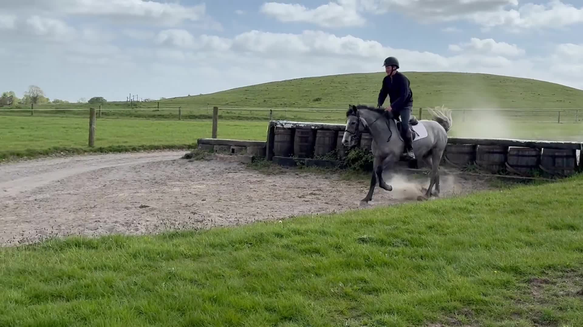 Hoppning hästar till salu: Attyrory Horses - Henry  - Video 3