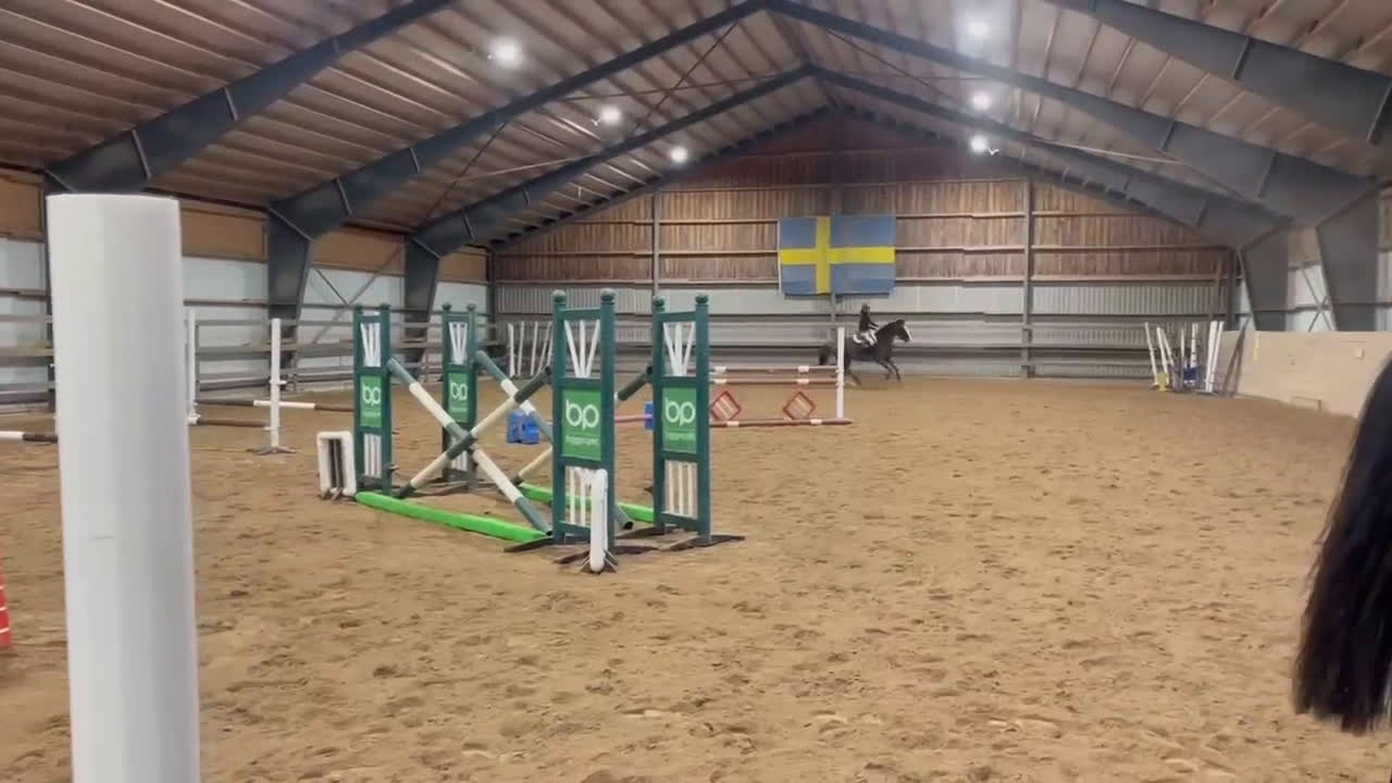 Hoppning hästar sökes: Söker foderhäst - Video 1
