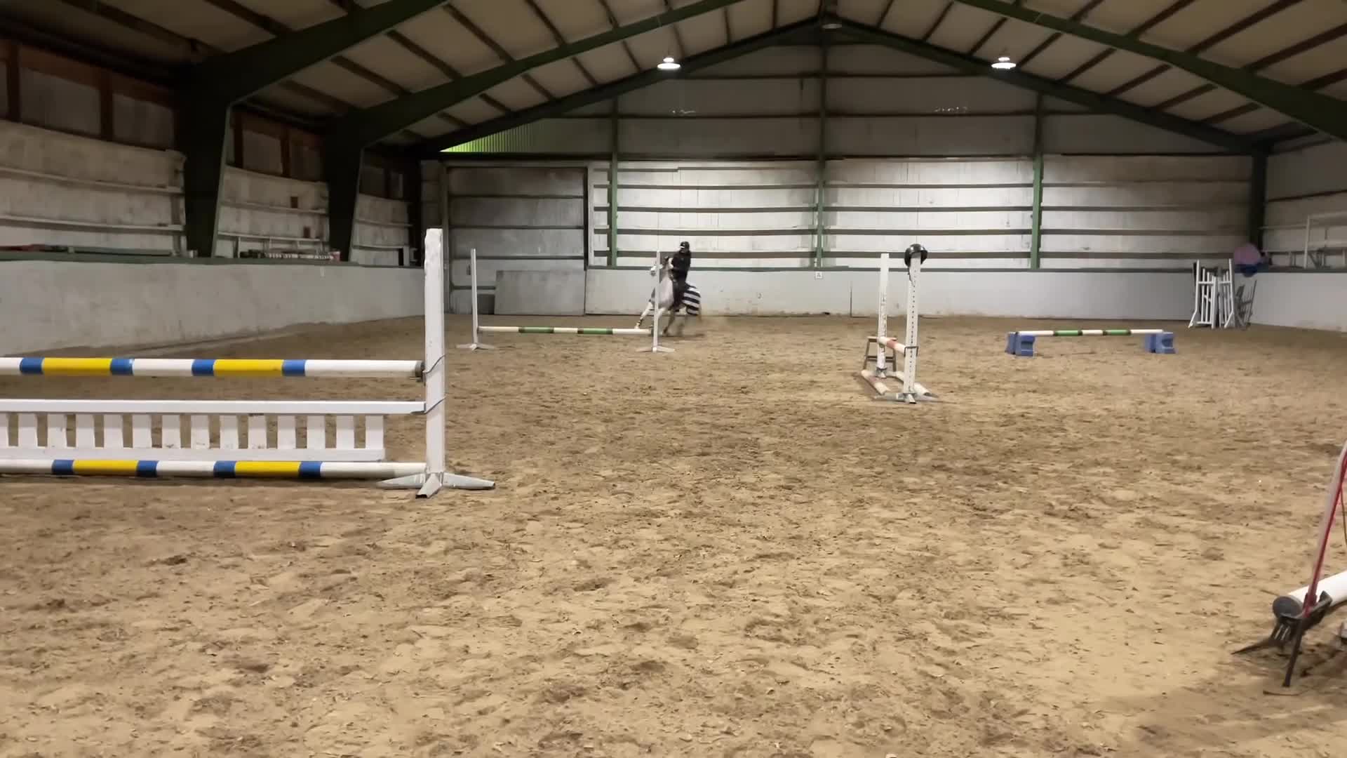 Hoppning hästar till salu: Breeze söker sitt nya hem - Video 3