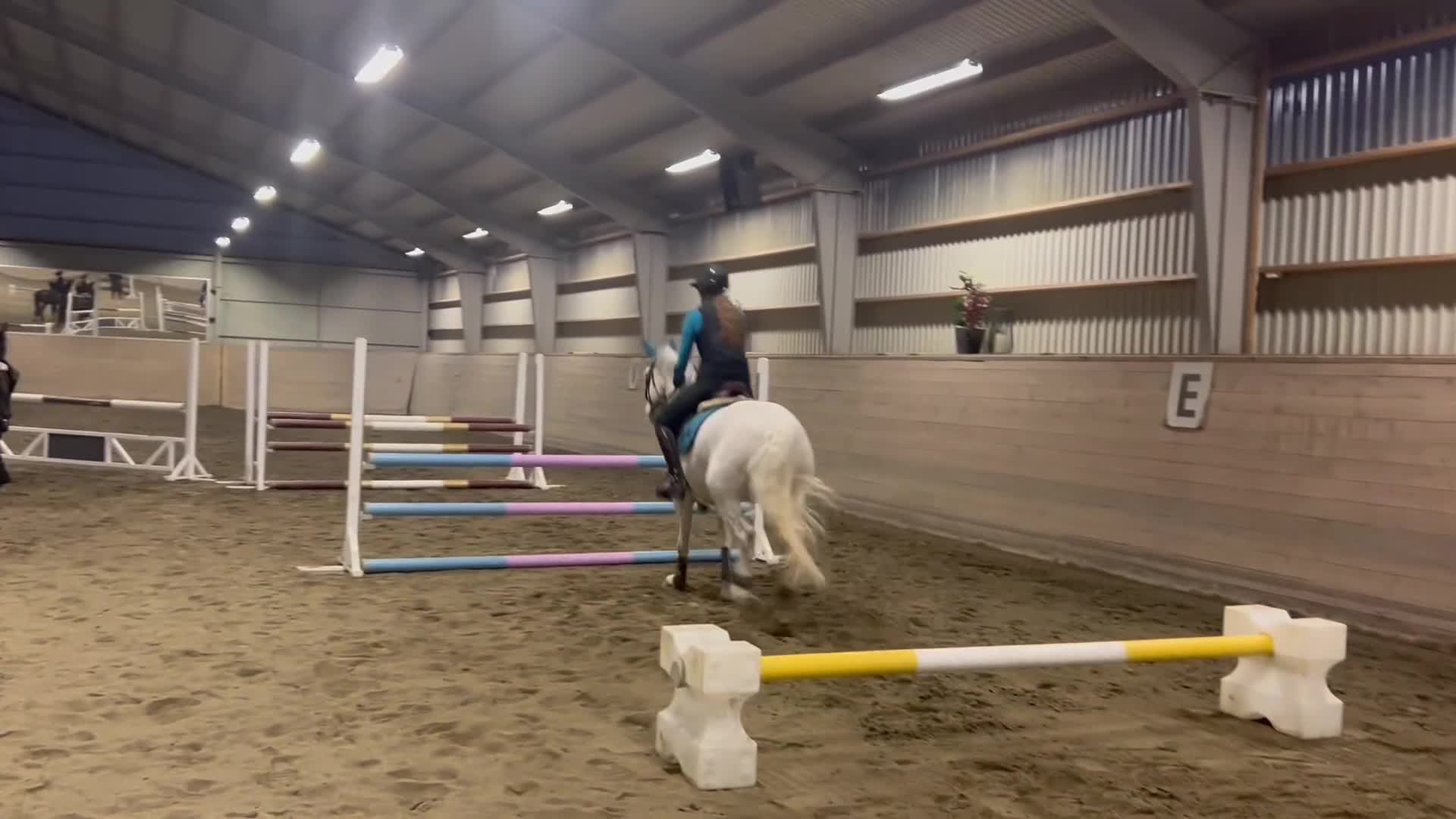 Allround hästar till salu: 🌟 ponny för valfri gren i Kärna - Video 1