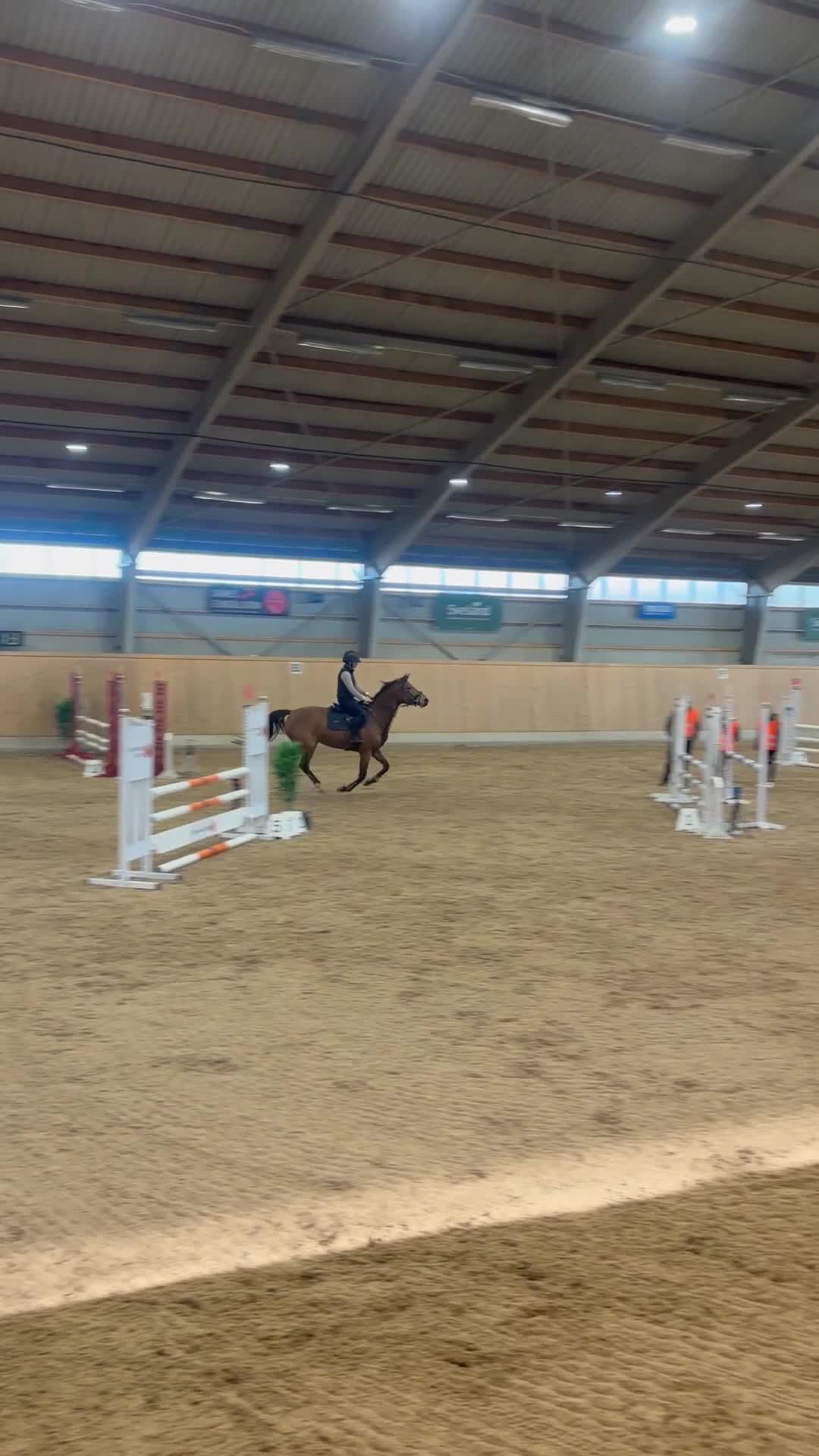 Hoppning hästar till salu: Super fint sto! - Video 1