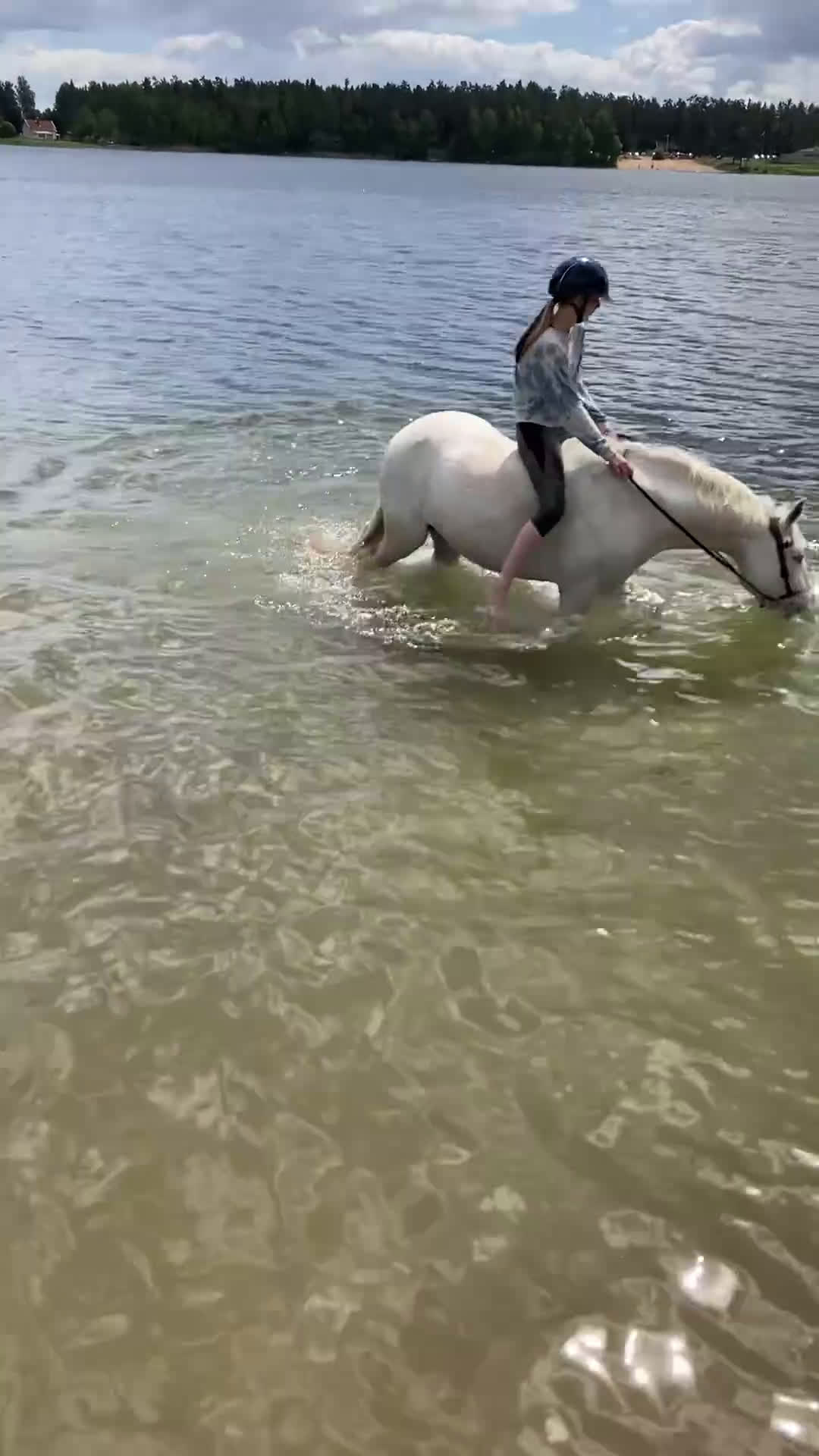  stallplats finnes: Stallplats på stall Toveryd i Jönköping - Video 1