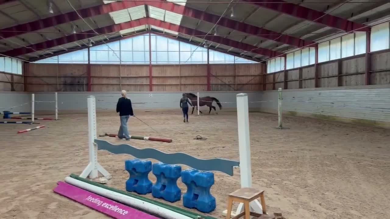 Hoppning hästar till salu: Lovande 3 åring - Video 1
