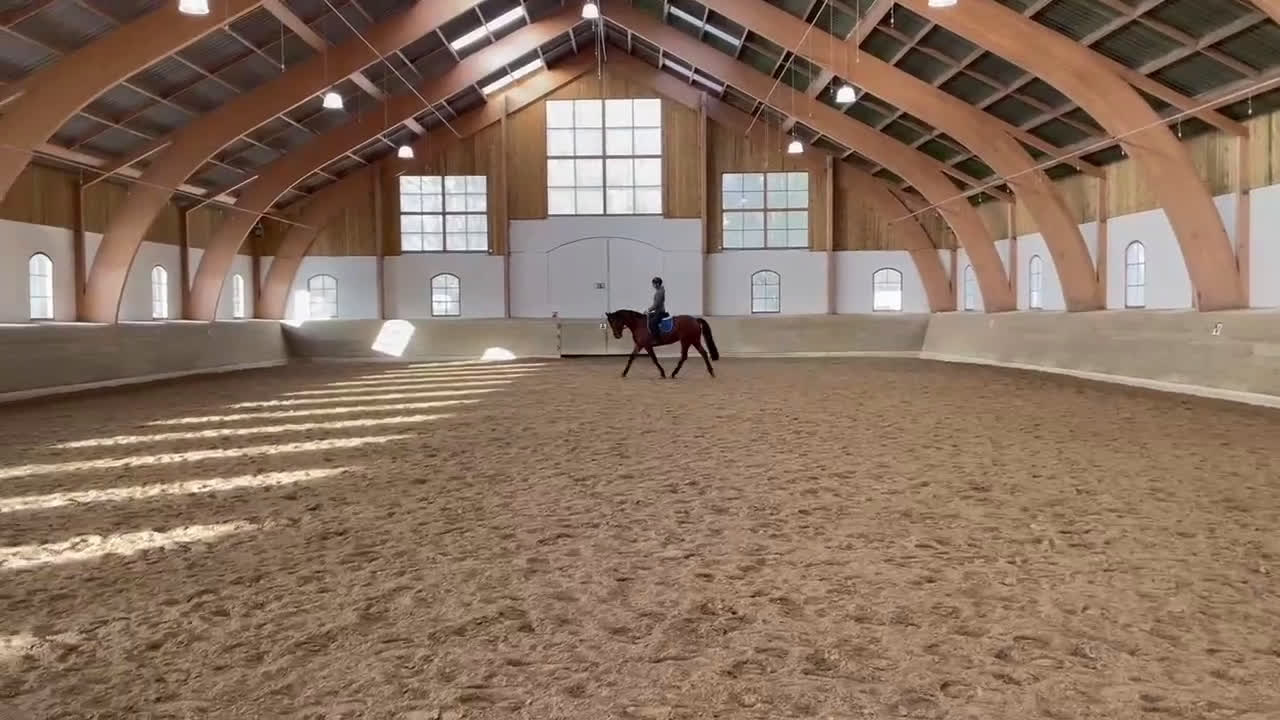 Allround hästar till salu: Trevligt sto - Video 2