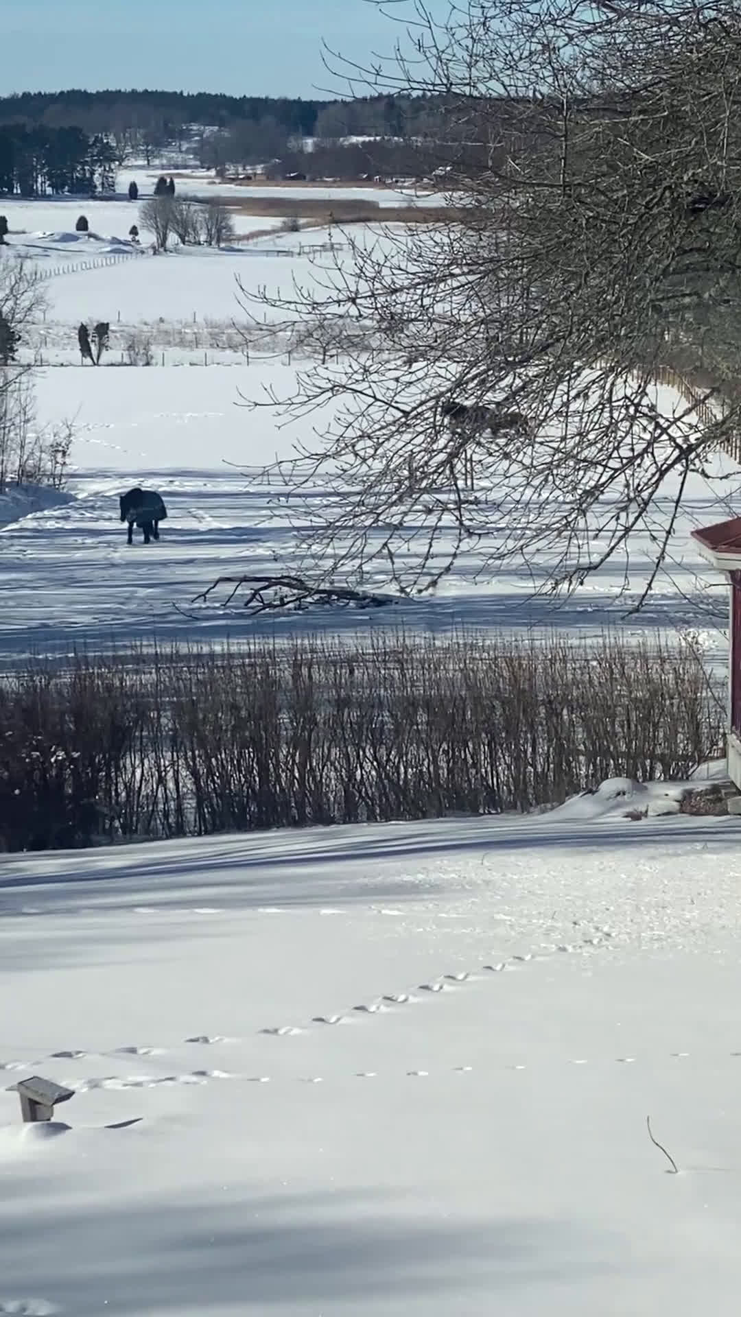  stallplats finnes: Vi har plats för en valack  - Video 1