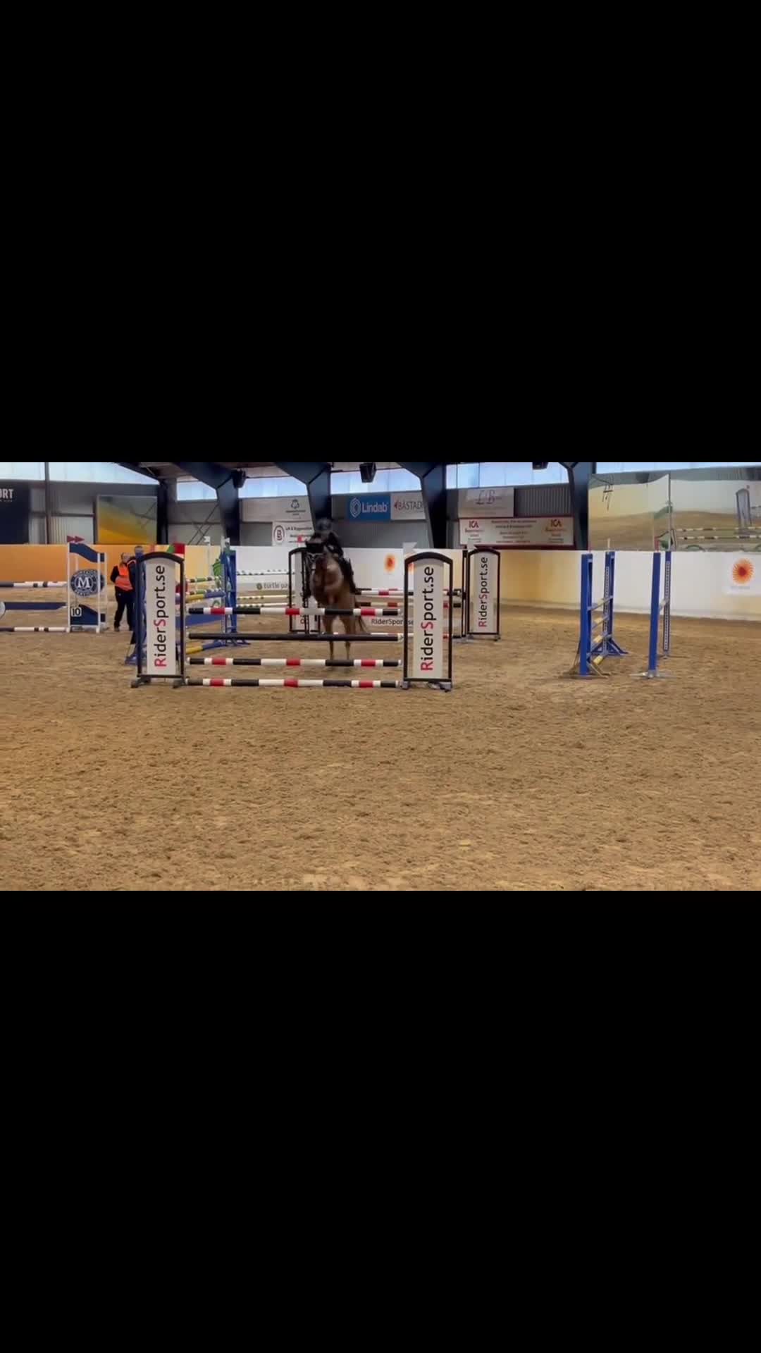 Hoppning hästar till salu: Mycket trevlig ponny!  - Video 3