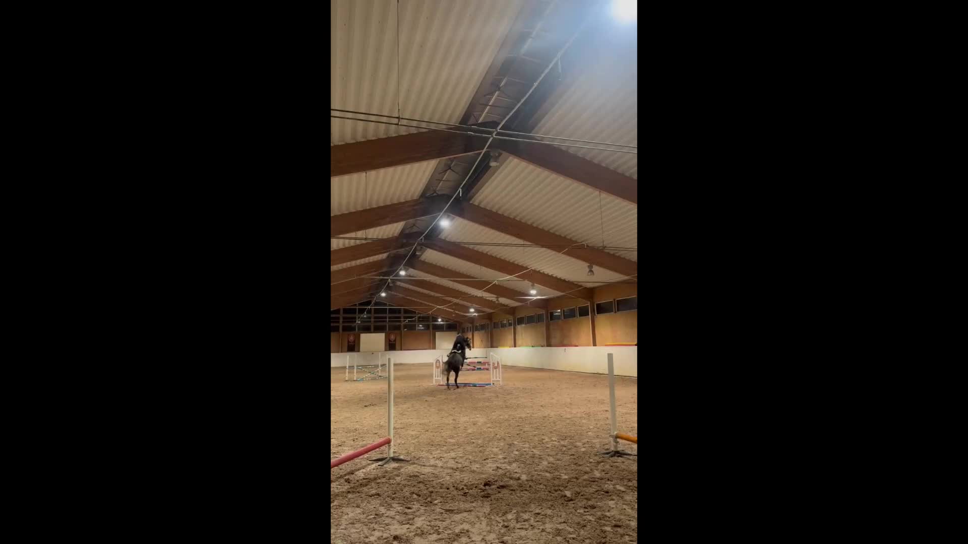 Allround hästar till salu: Superhärlig allroundhäst  - Video 1