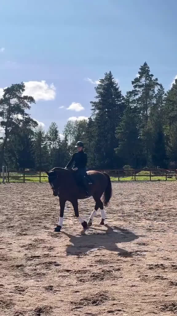 Dressyr hästar till salu: Dressyrhäst för framtiden! i Vattholma - Video 4