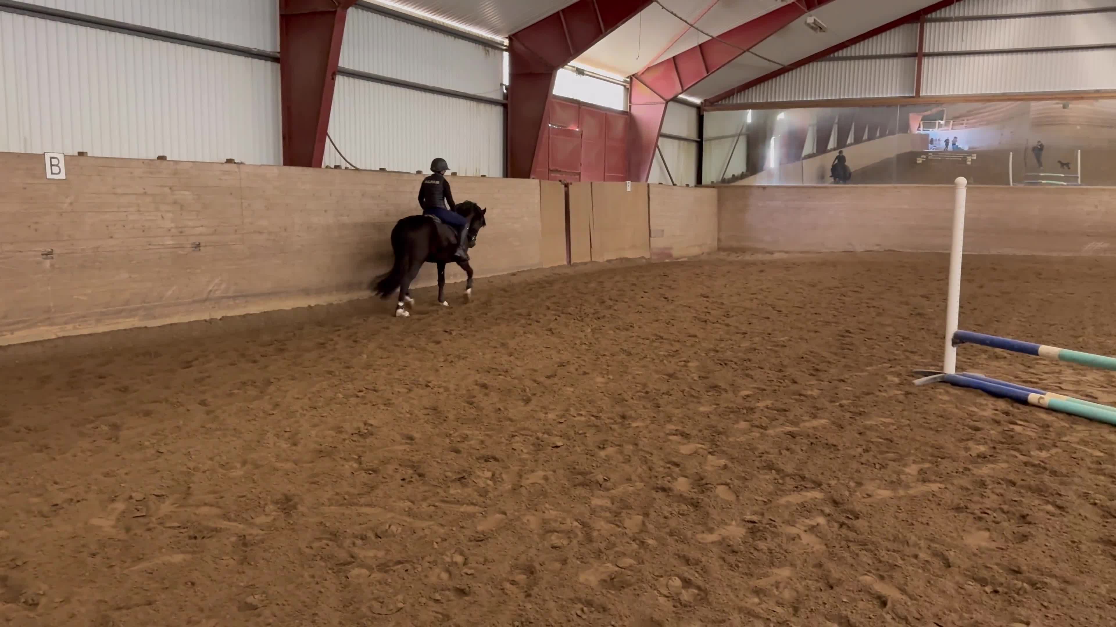 Dressyr hästar till salu:     Lovande D-ponnysto - Video 1