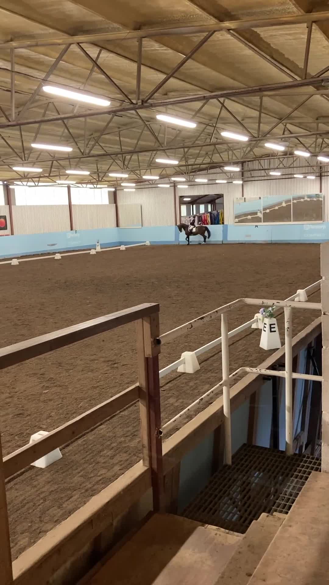 Dressyr hästar till salu: Stilig valack i Jonstorp - Video 1