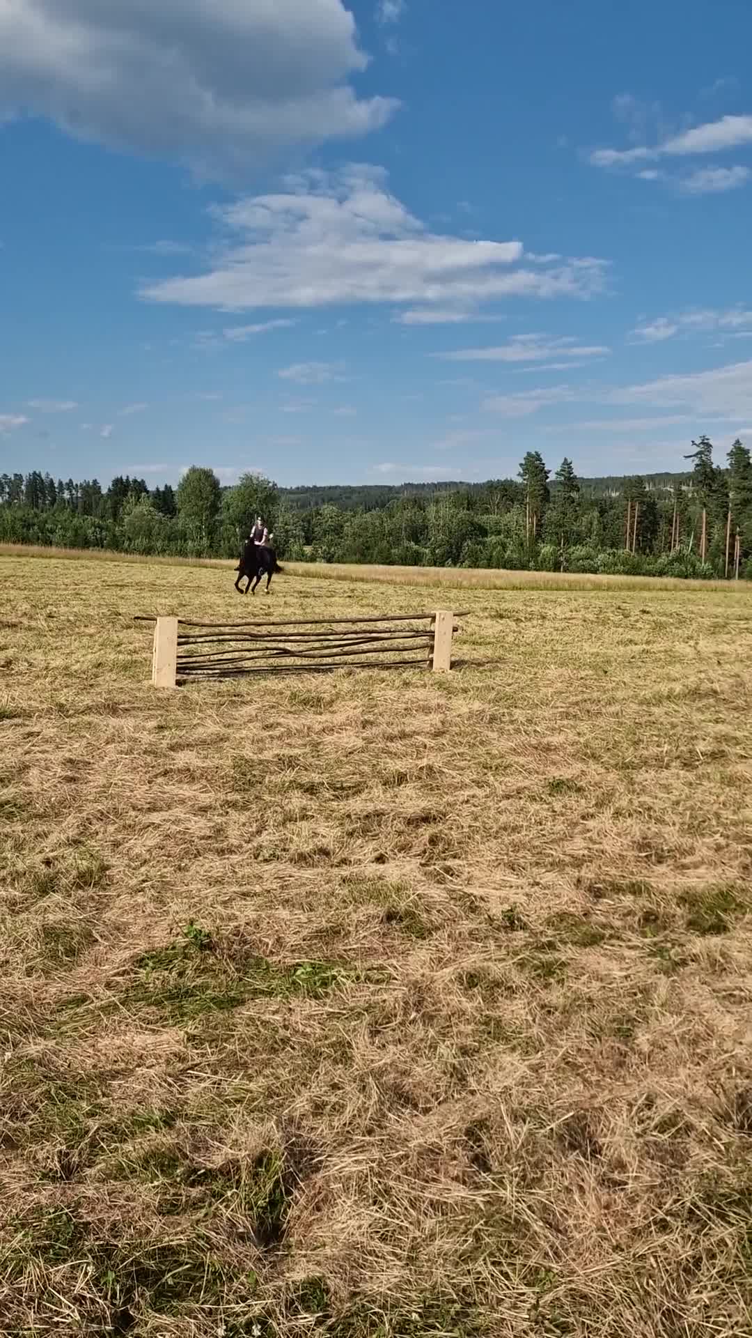 Allround hästar till salu: Fint sto med hög integritet i Torsby - Video 2