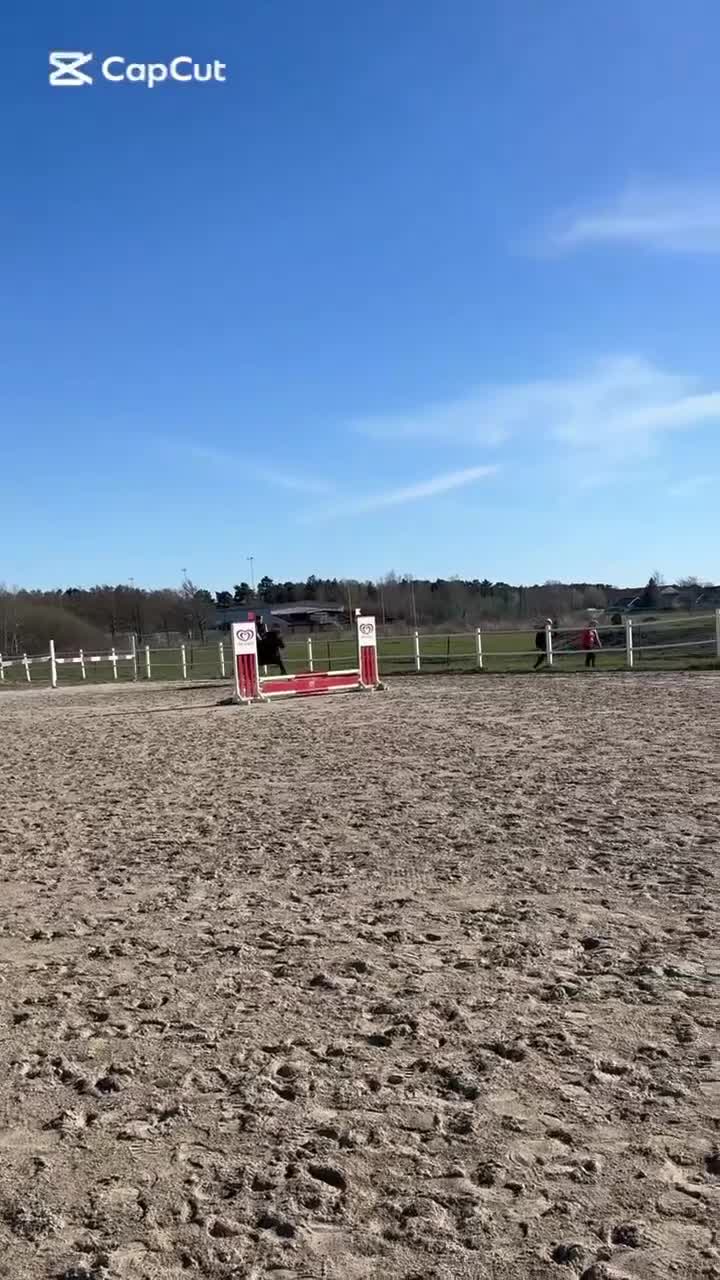 Allround hästar till salu: Hoppglad C-ponny, perfekt första bästa kompis! - Video 3