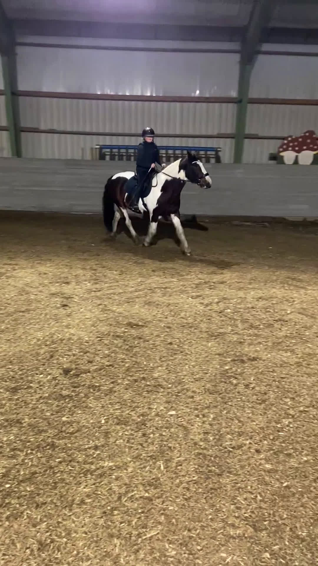 Allround hästar till salu: Vackert och snällt sto. i Hindås - Video 4