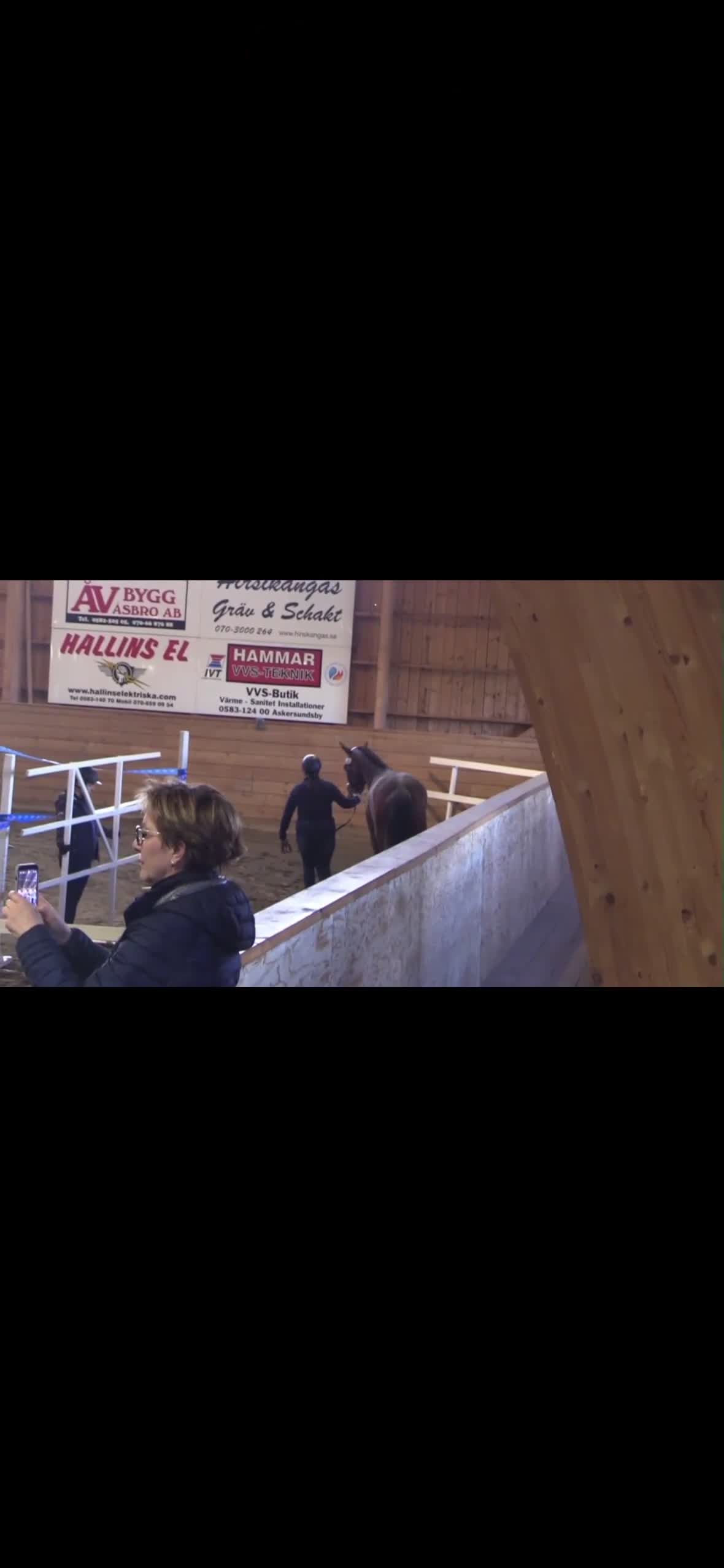 Hoppning hästar till salu: Fint lovande ungsto  - Video 1