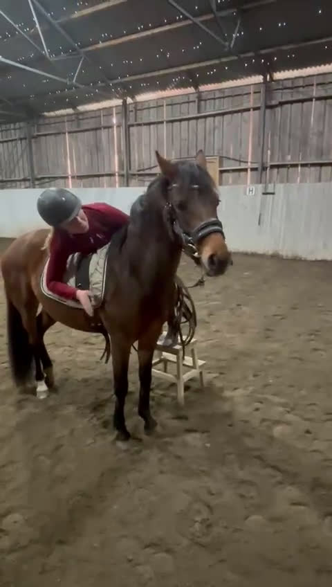 Övrigt hästar till salu: Sportponny för framtiden - Video 4