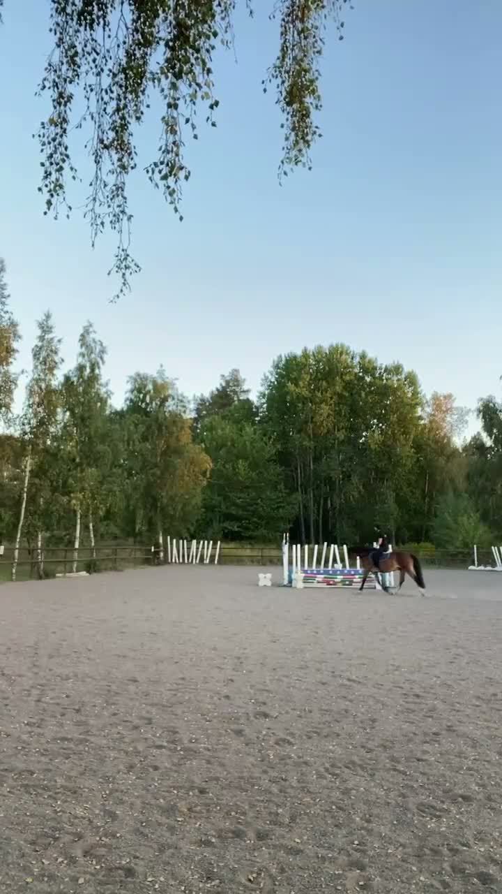  medryttarhäst finnes: Medryttare sökes till kallblod - Video 2