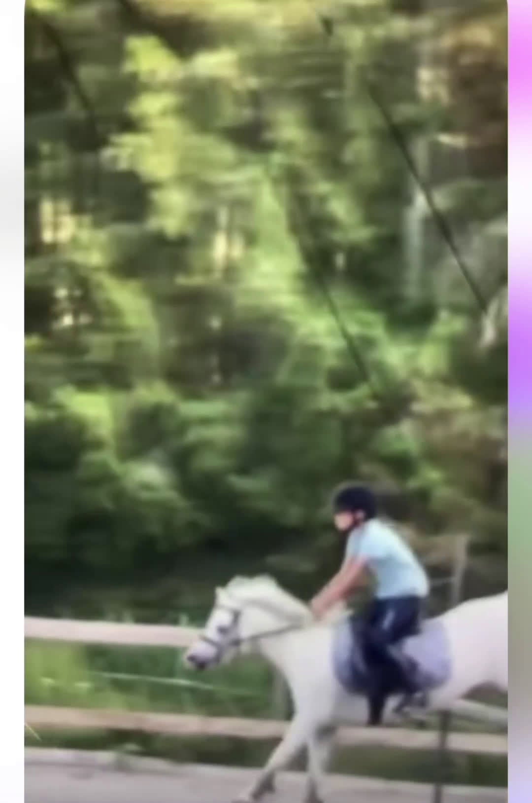 Allround hästar sökes: Söker en bästa vän,foder,eller köp💕 i Västerhaninge - Video 1