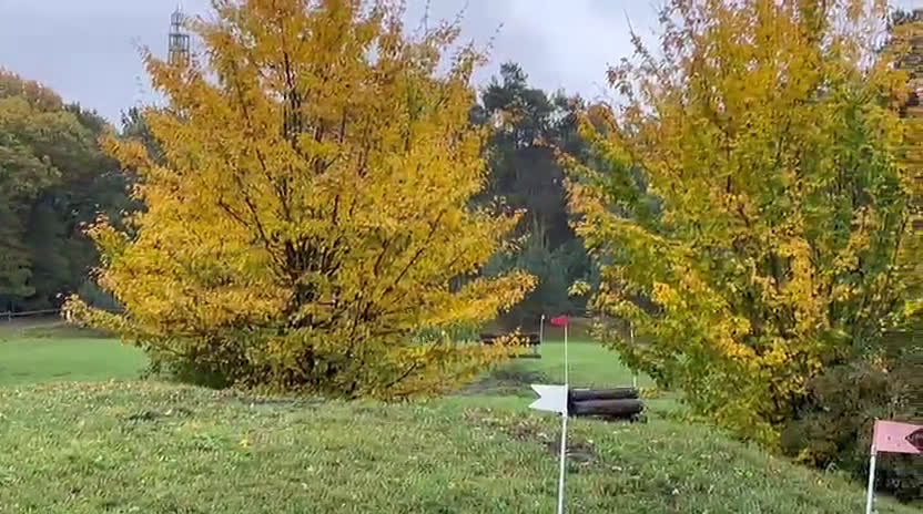 Hoppning hästar till salu: Talangfull Fälttävlanshäst med Kapacitet  i Harlösa - Video 2