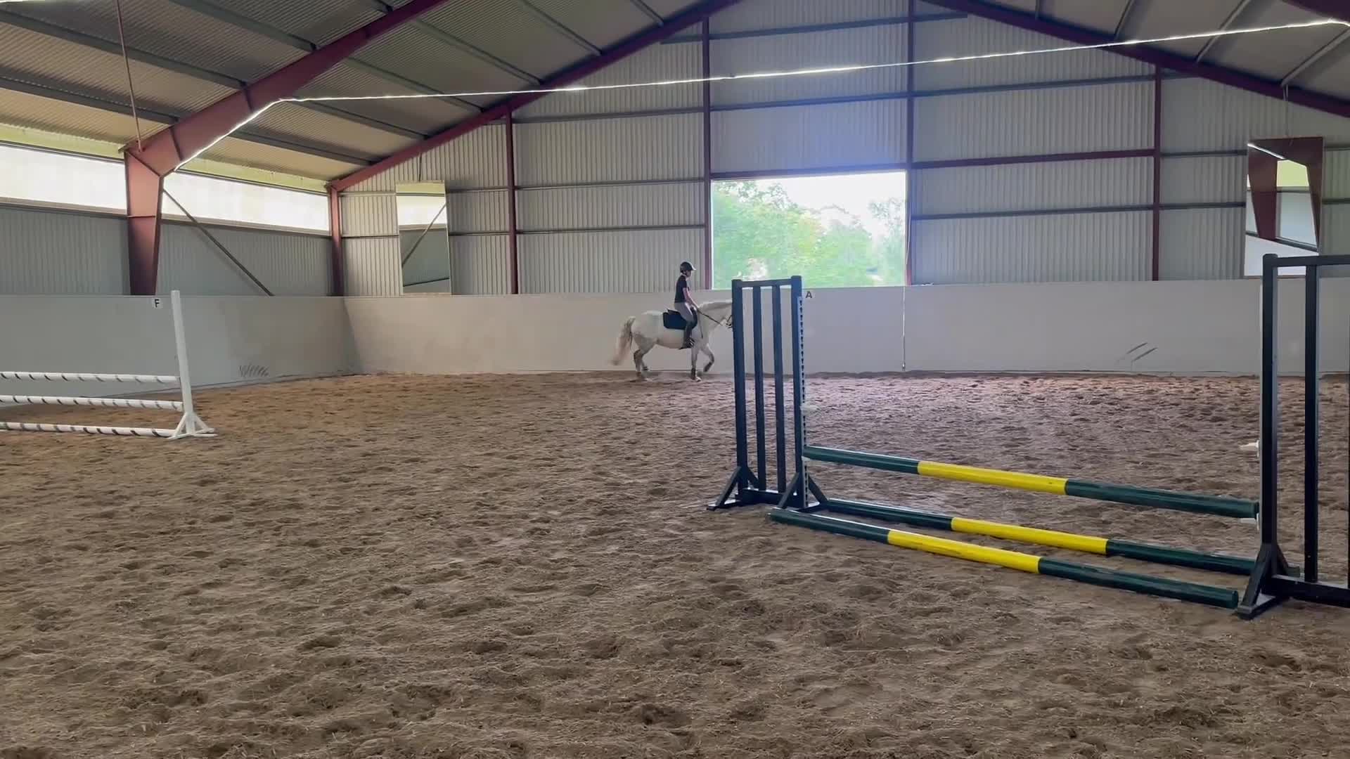 Hoppning hästar till salu: Snäll & okomplicerad ponny⭐️ - Video 3