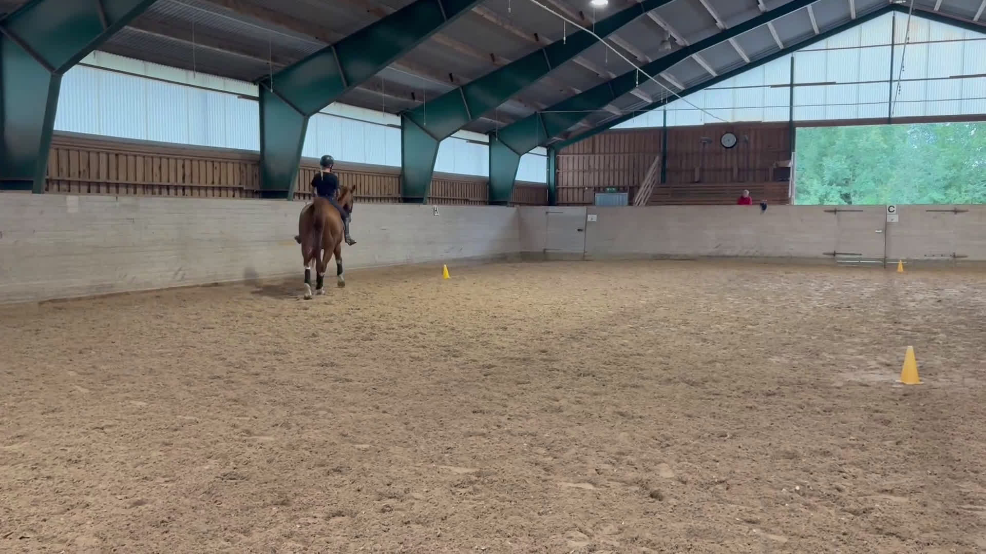 Dressyr hästar till salu: Lyxig hobbyhäst  i Sunne - Video 2