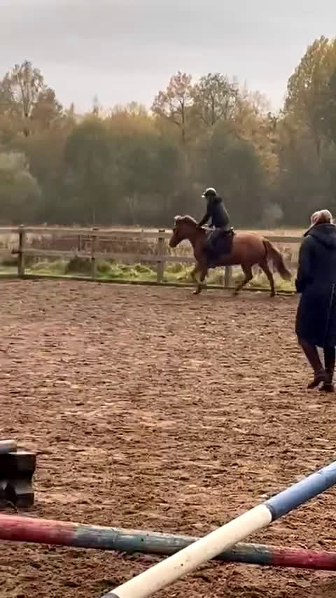 Allround hästar till salu: Allround/läromästare söker nu en ny bästa vän💛 - Video 2