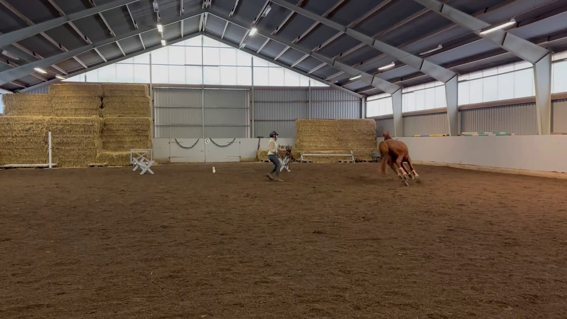 Dressyr hästar till salu: Oslipad diamant för den mycket erfarna ryttaren.  i Åkarp - Video 5