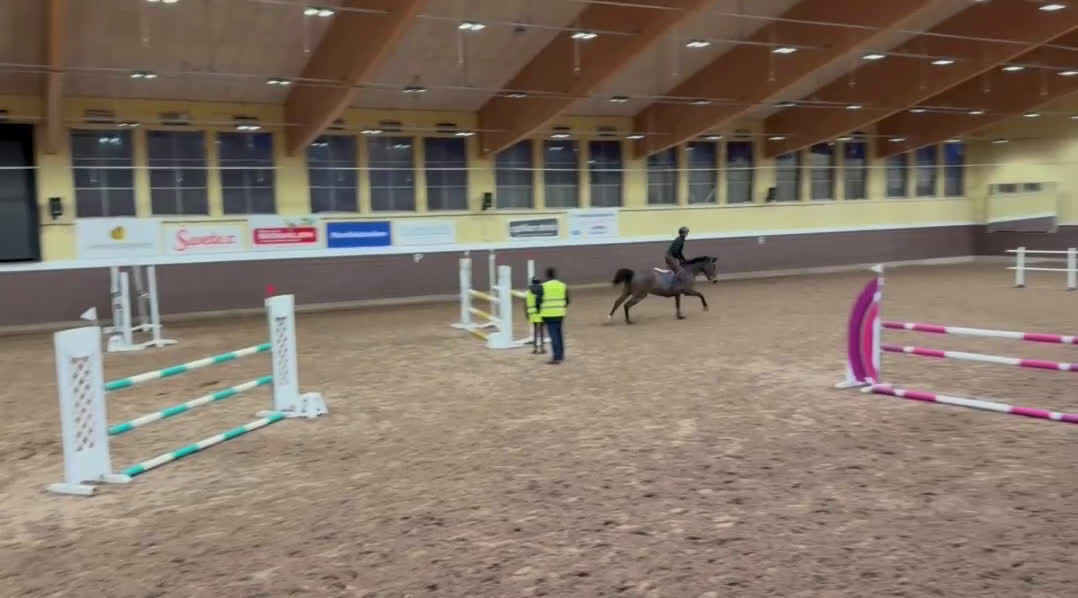 Hoppning hästar till salu: Sto med bra hoppkvalitet  - Video 1