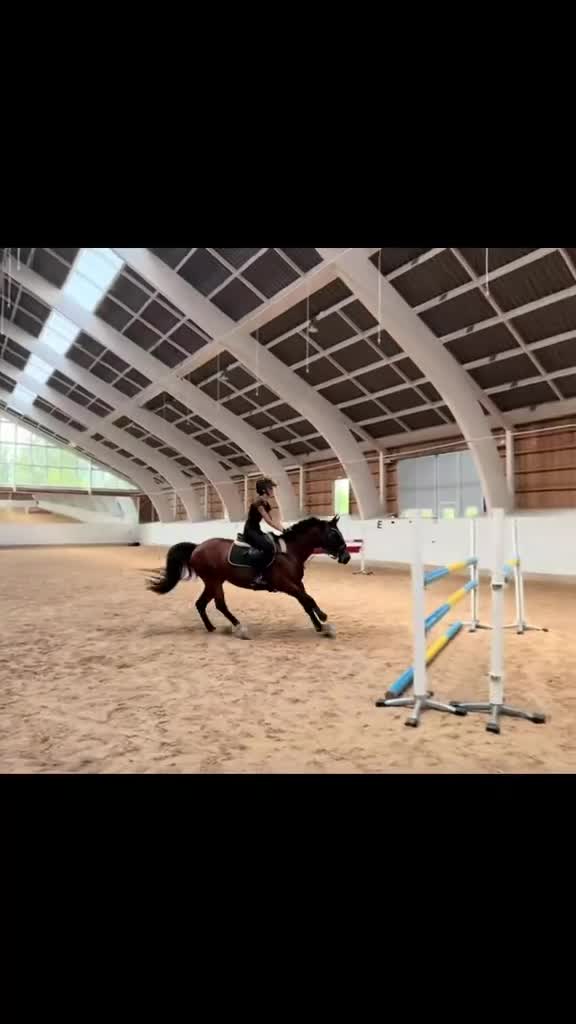 Hoppning hästar till salu: Maxat D-ponnysto med storhäststam💫   i Ulricehamn - Video 1