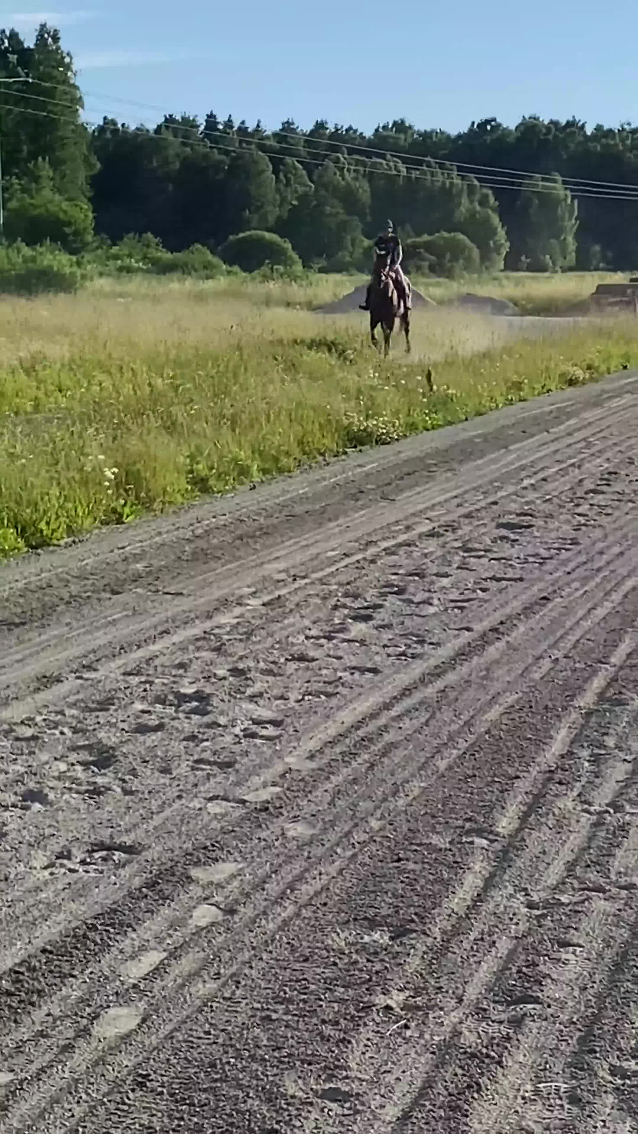 Övrigt hästar till salu: Mkt fint o trevligt sto, mor/dotter häst? - Video 2