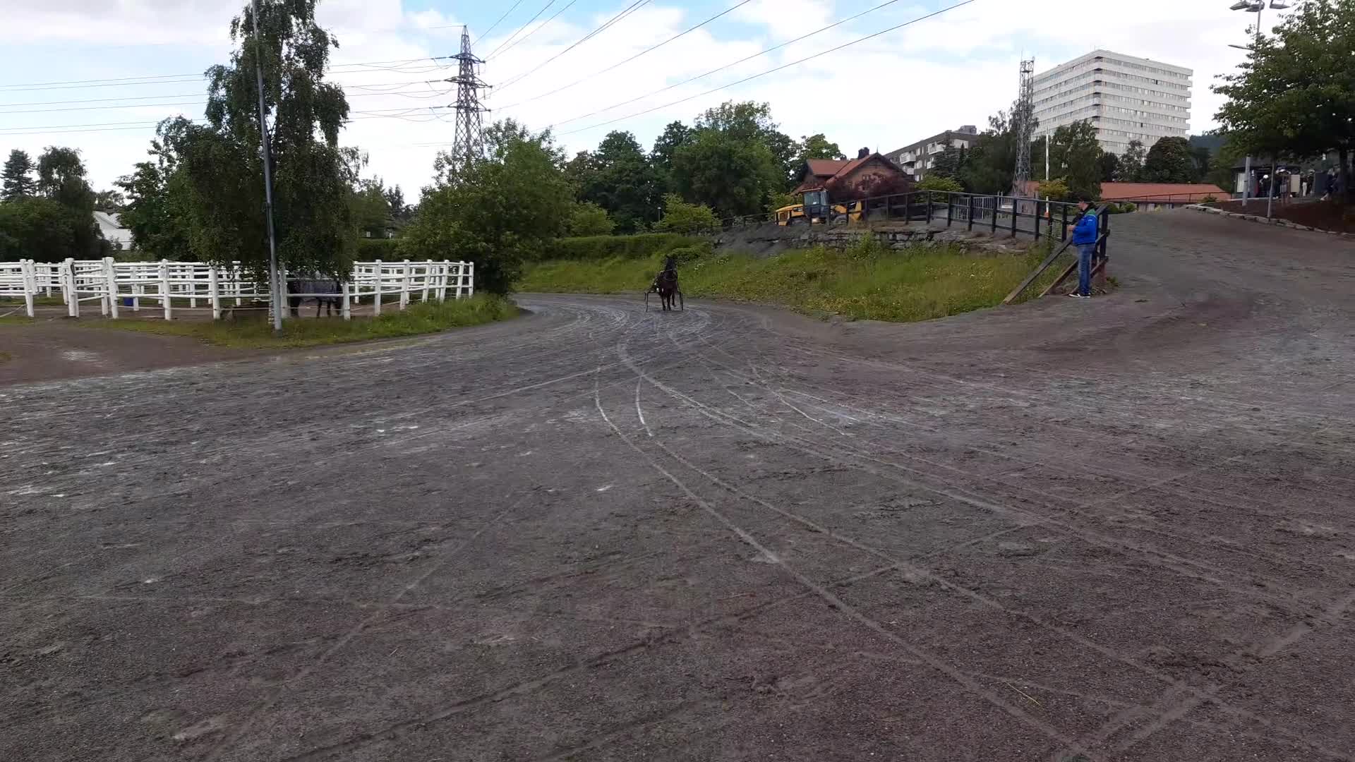 Trav hästar till salu: Snygg häst med alla rätt  - Video 1