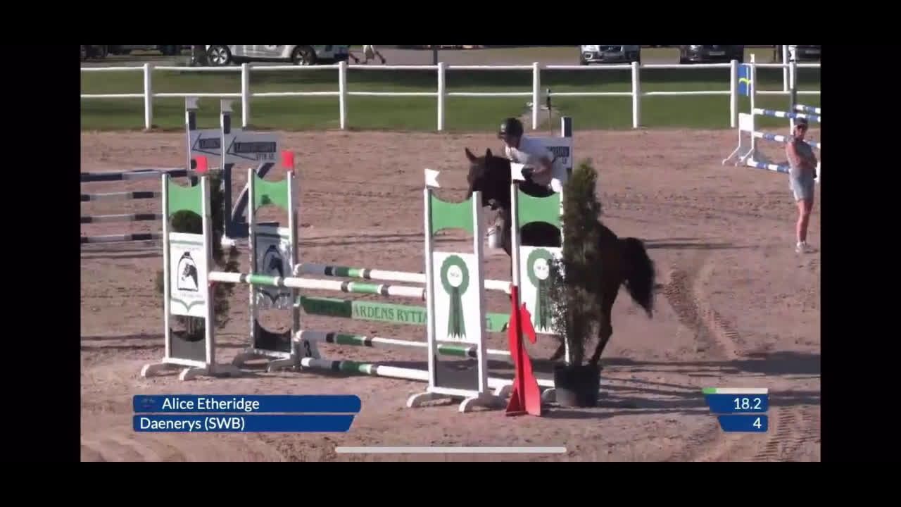 Hoppning hästar till salu: Välhoppande sto  i Lerdala - Video 1