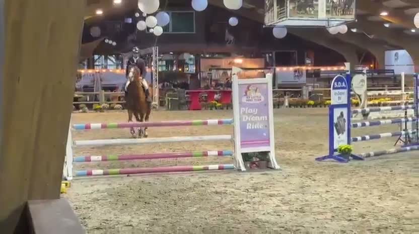 Hoppning hästar till salu: Snygg 5-årig hopphäst efter otroliga Point Break - Video 2