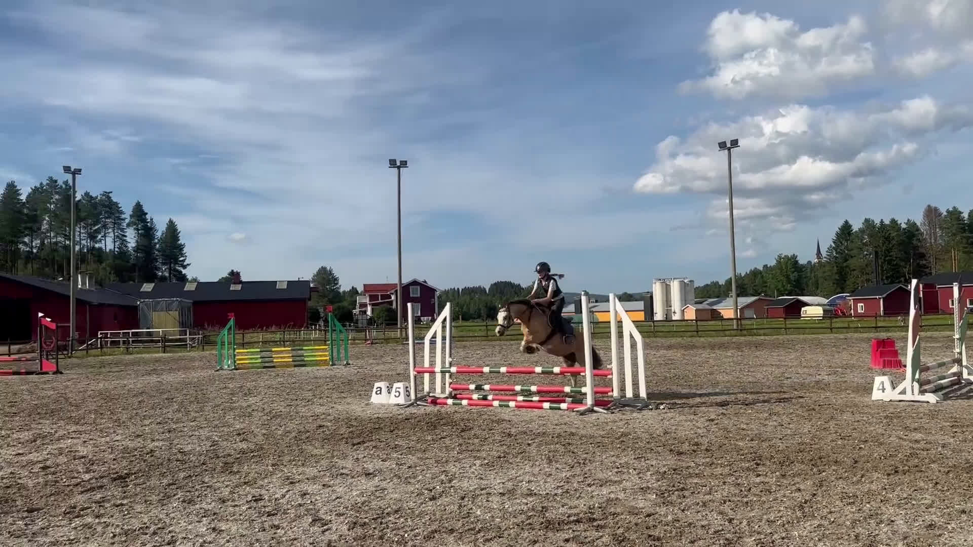 Allround hästar till salu: Sötaste och snällaste barnponnyn - Video 1