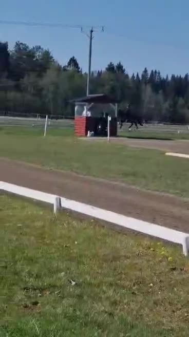 Island hästar till salu: Vackra Alda - Video 3