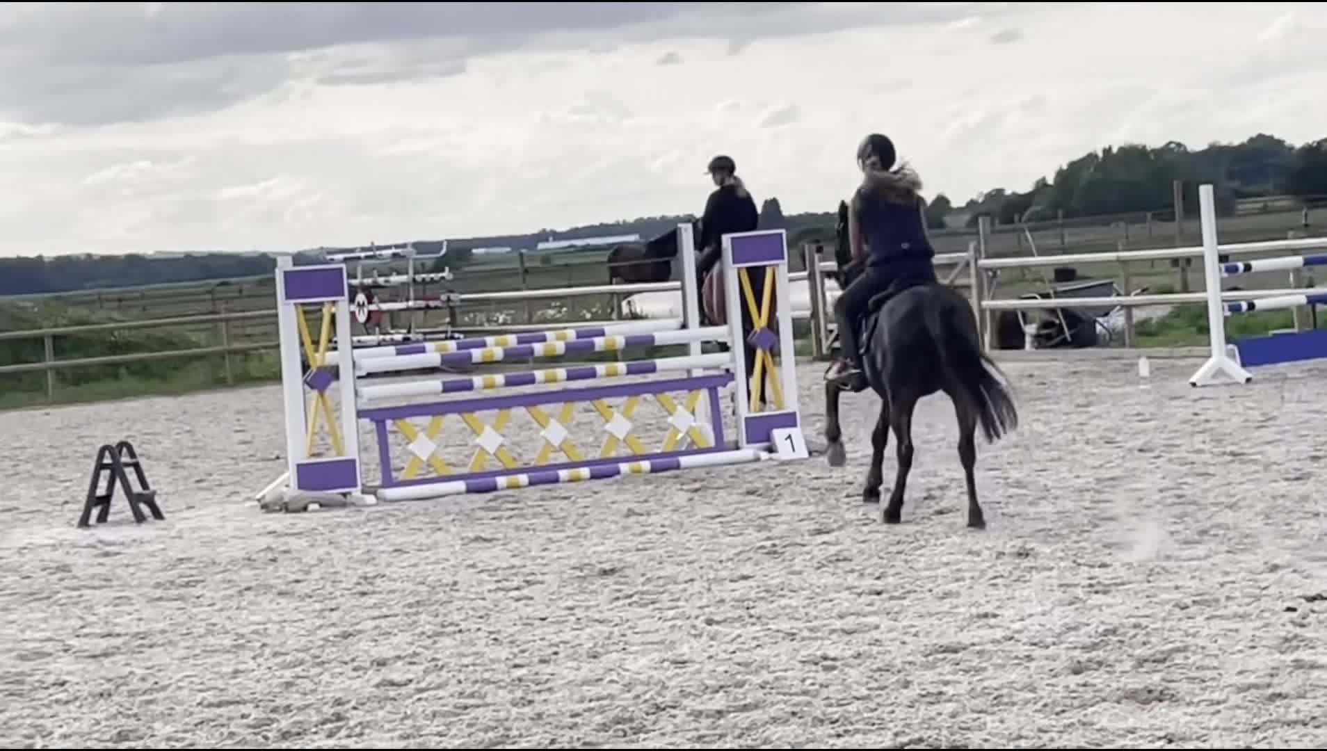 Hoppning hästar till salu: Snäll och rutinerad tävlingsponny - Video 2