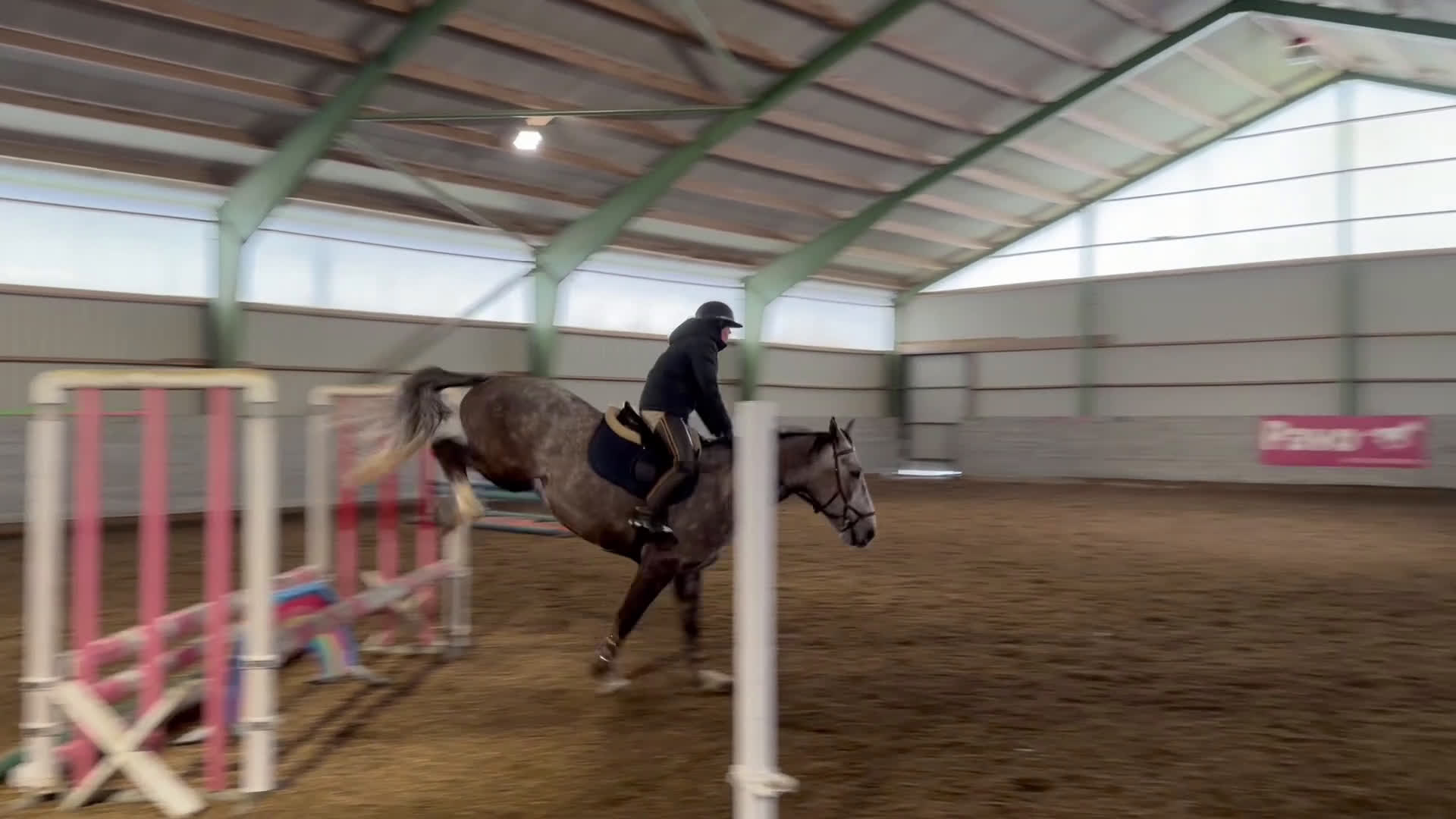 Allround hästar till salu: Trevlig valack i Hindås - Video 2