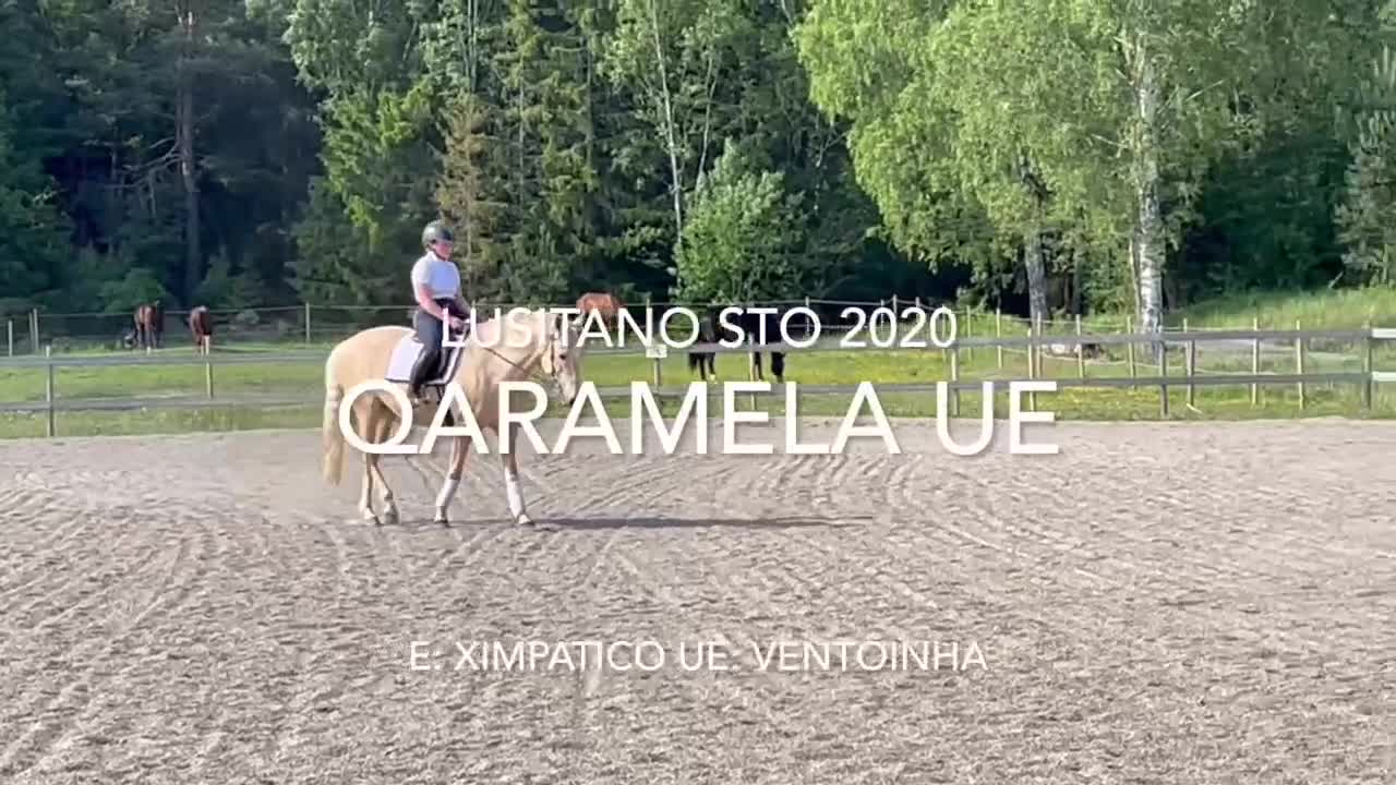 Working Equitation hästar till salu: Talangfull och sagolikt vacker - Video 1