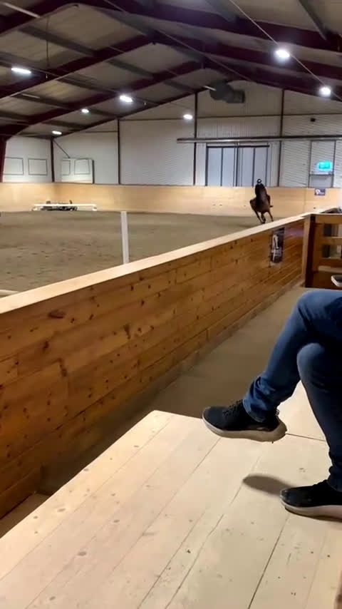 Allround hästar sökes: Foderhäst !sökes! - Video 3