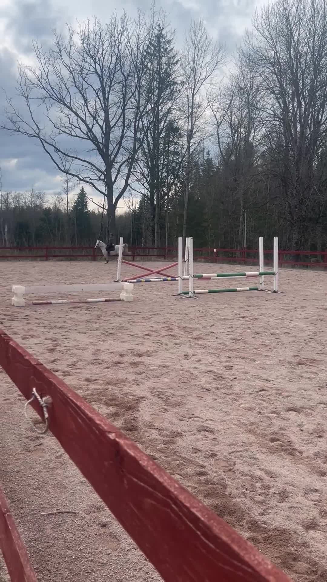 Allround hästar till salu: Vacker D ponny - Video 2