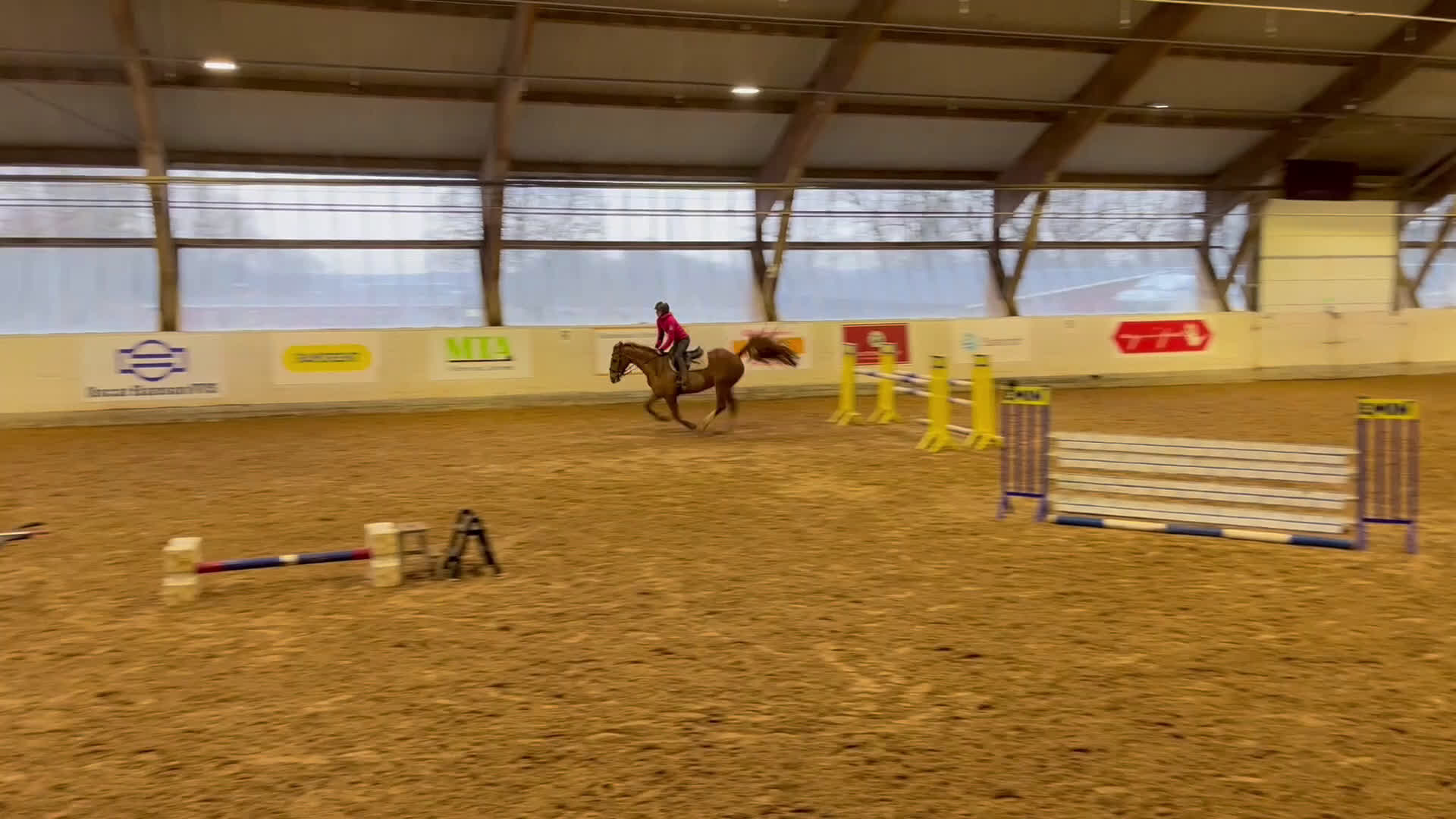 Hoppning hästar till salu: Modig och snäll hopphäst  i Halmstad - Video 3