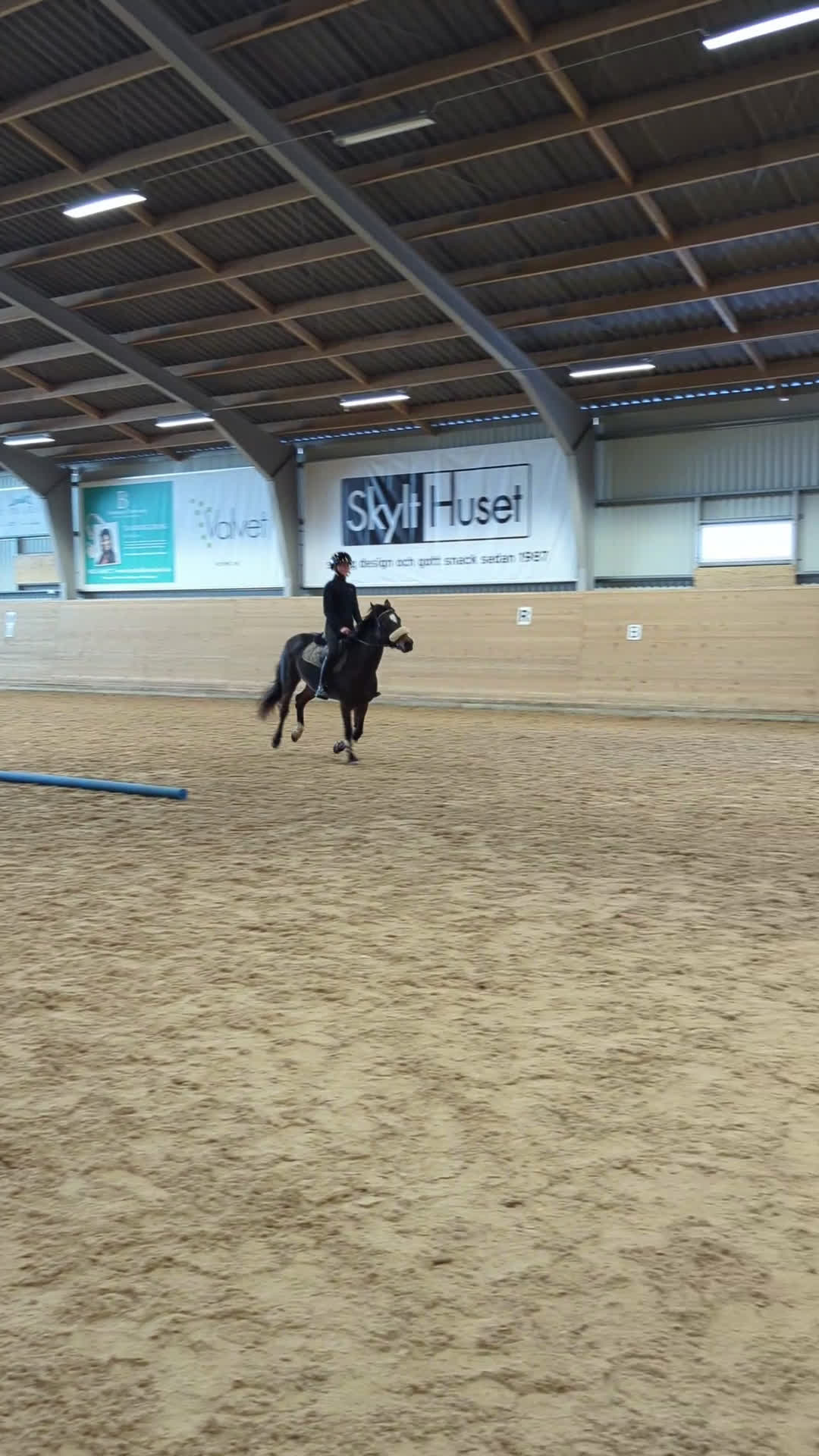 Hoppning hästar till salu: Hoppglad Connemara i Staffanstorp - Video 1