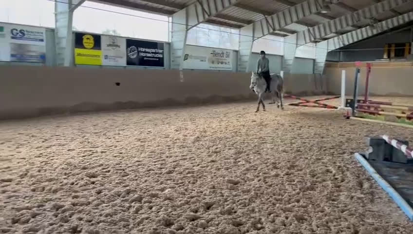 Hoppning hästar till salu: Sto med stor potential  - Video 3