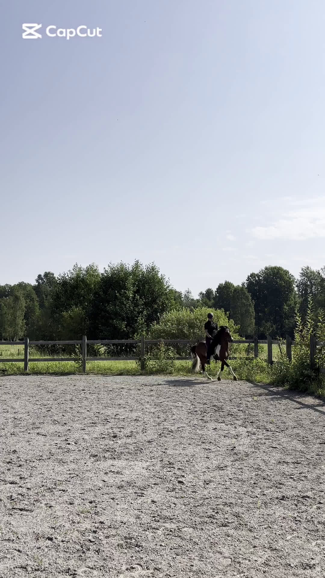 Island hästar till salu: Trevlig valack med utvecklingspotential i Örebro - Video 1