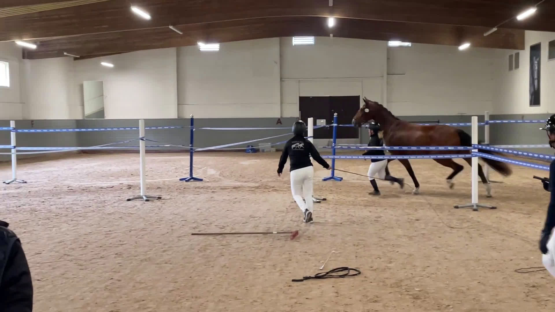 Dressyr hästar till salu: Dressyrhäst för framtiden  i Mariefred - Video 1