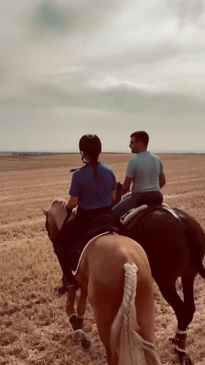 Working Equitation hästar till salu: Välskolad kvalitets PSLusitano  i Halmstad - Video 3