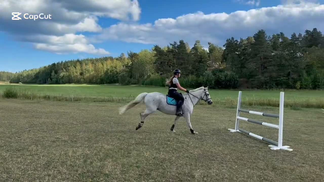 Allround hästar till salu: Maxad D-ponny e: I Love You Melody i Norrköping - Video 1