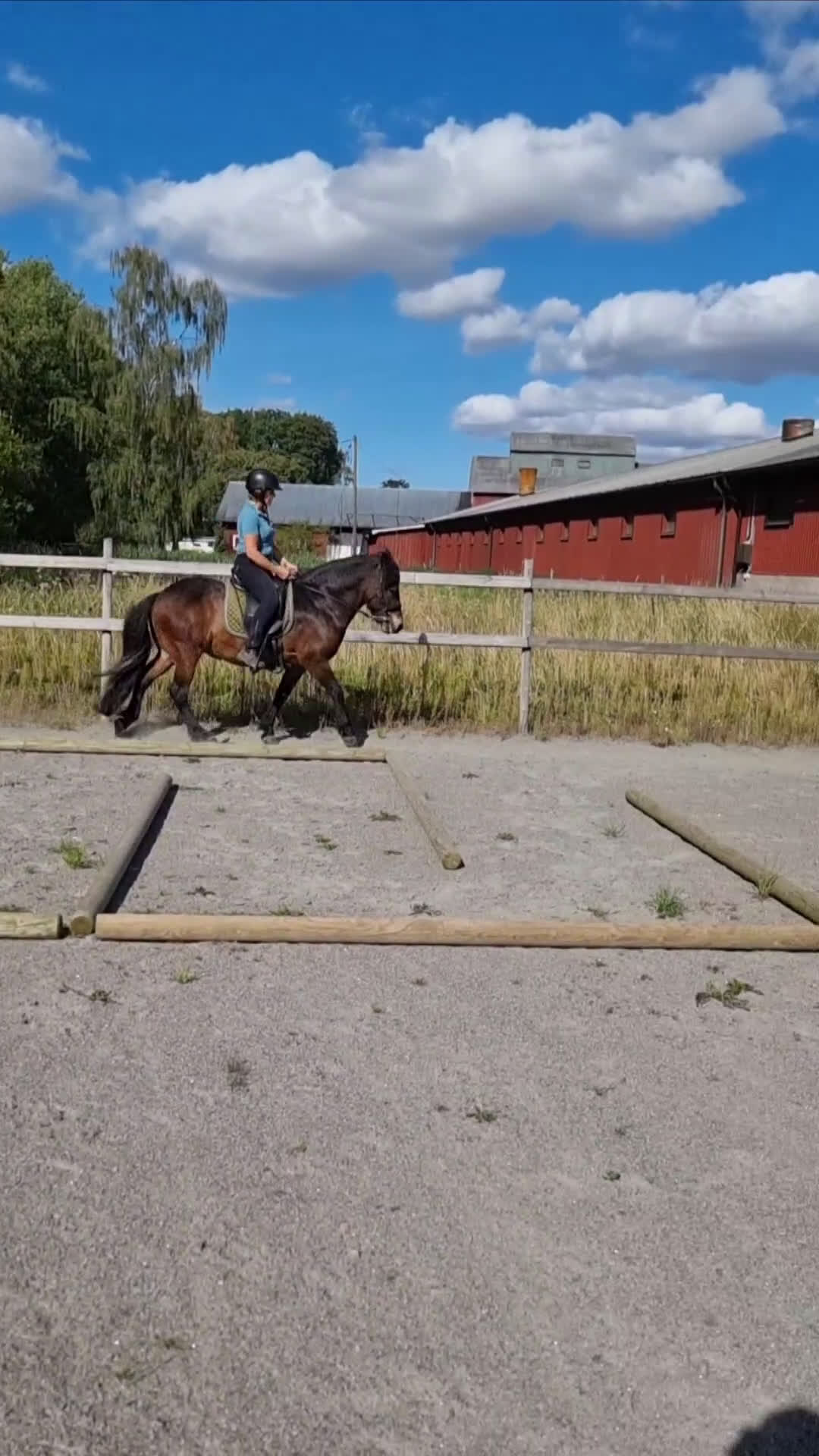 Island hästar till salu: Embla frá Vindási i Skara - Video 4